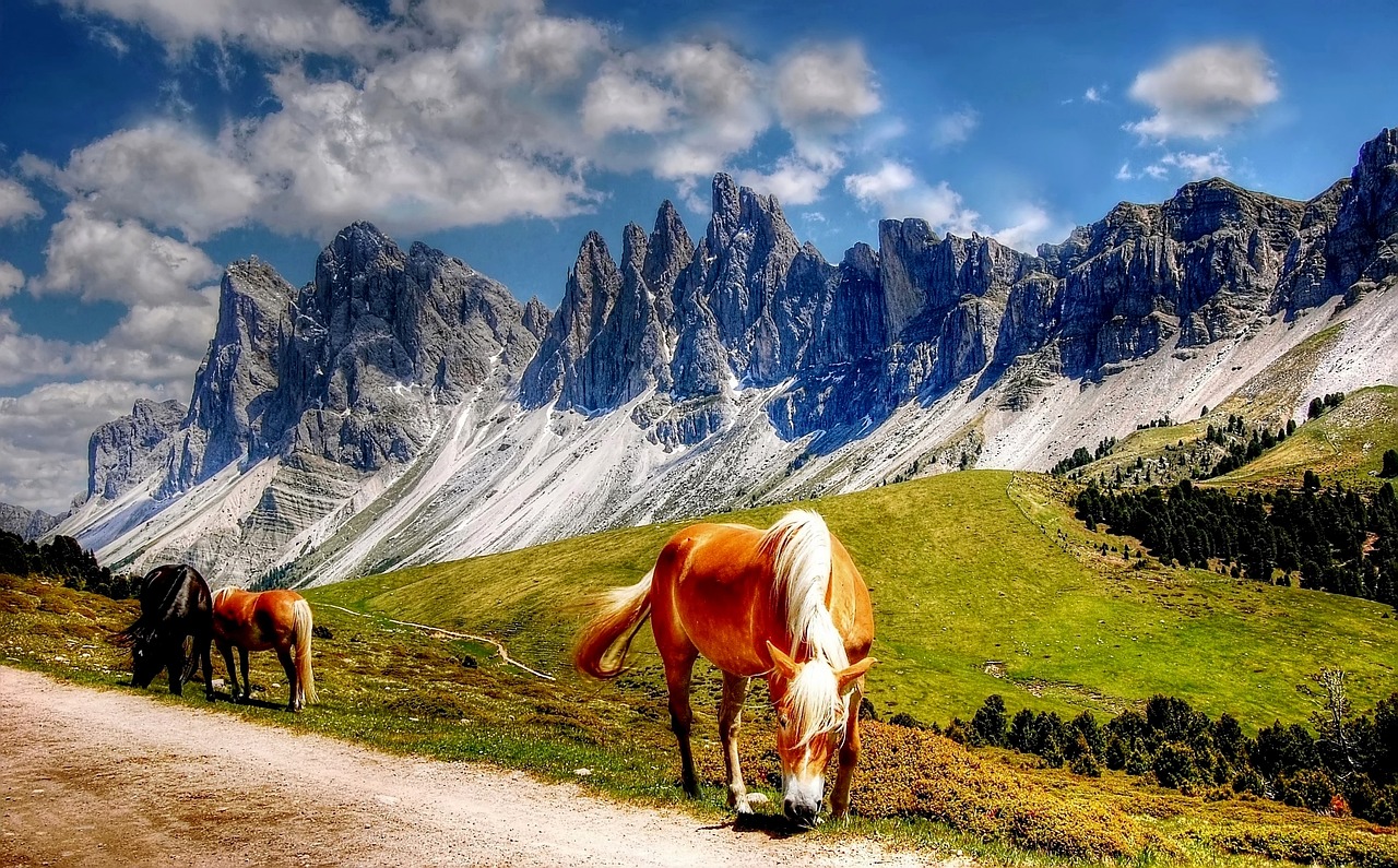 Bio Urlaub in Südtirol für die Seele