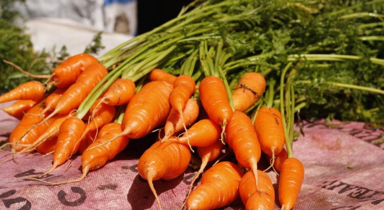 Karotten - Zubereitungsarten und Omas Rezepte